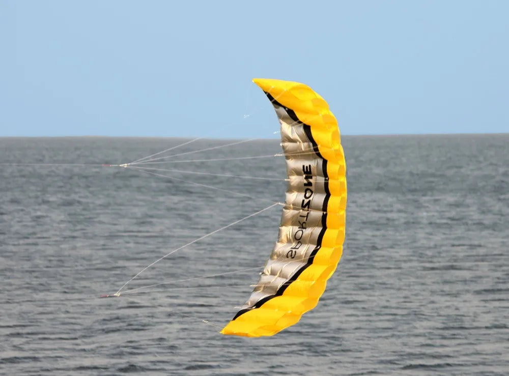 NEW High Quality  2.5m Yellow Dual Line Parafoil Kite  WithFlying Tools Power Braid Sailing Kitesurf Rainbow Sports Beach
