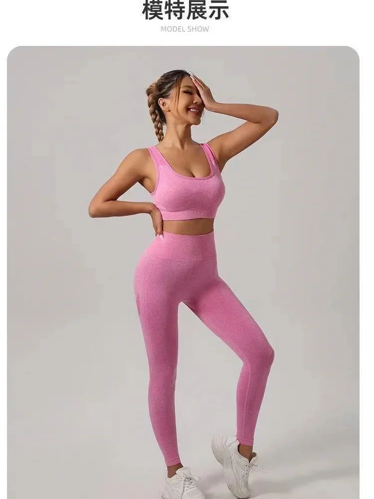 50646174662982|50646174728518|50646174859590