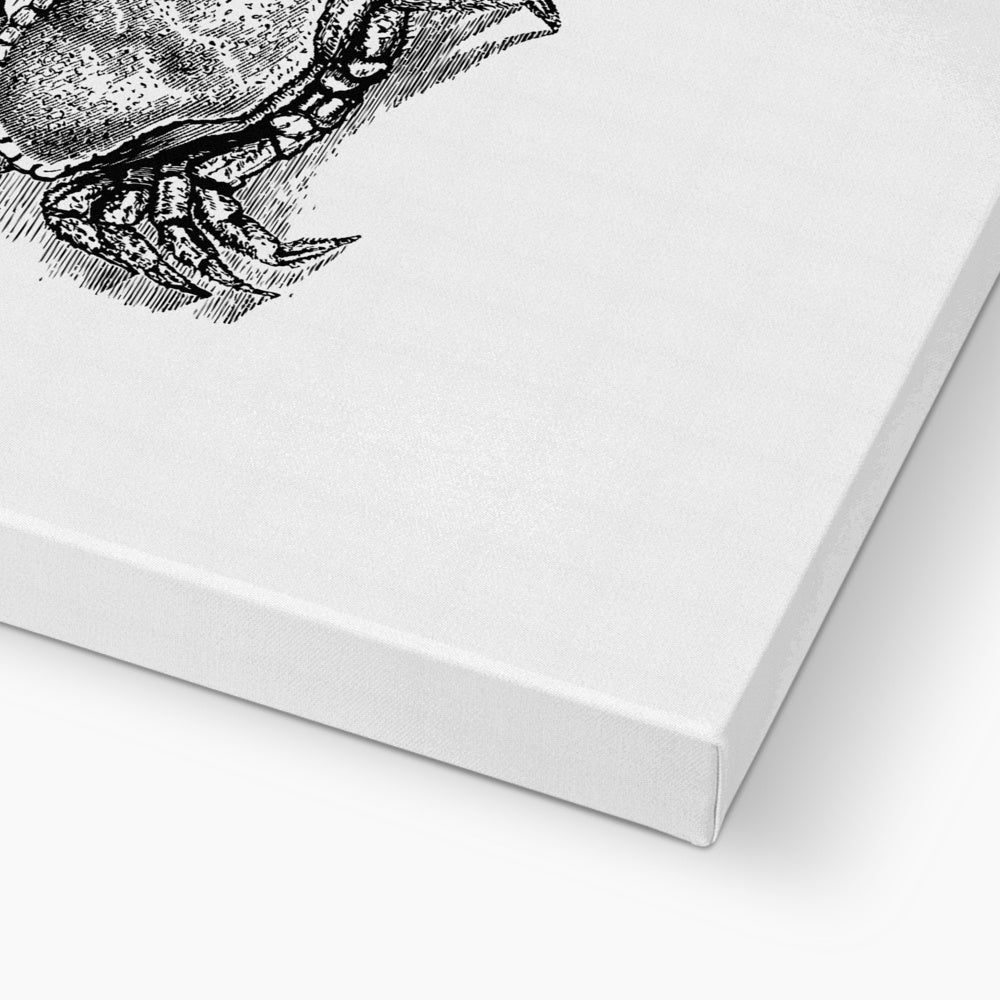 AQUA B&W - 07 - Catch the crab - Eco Canvas