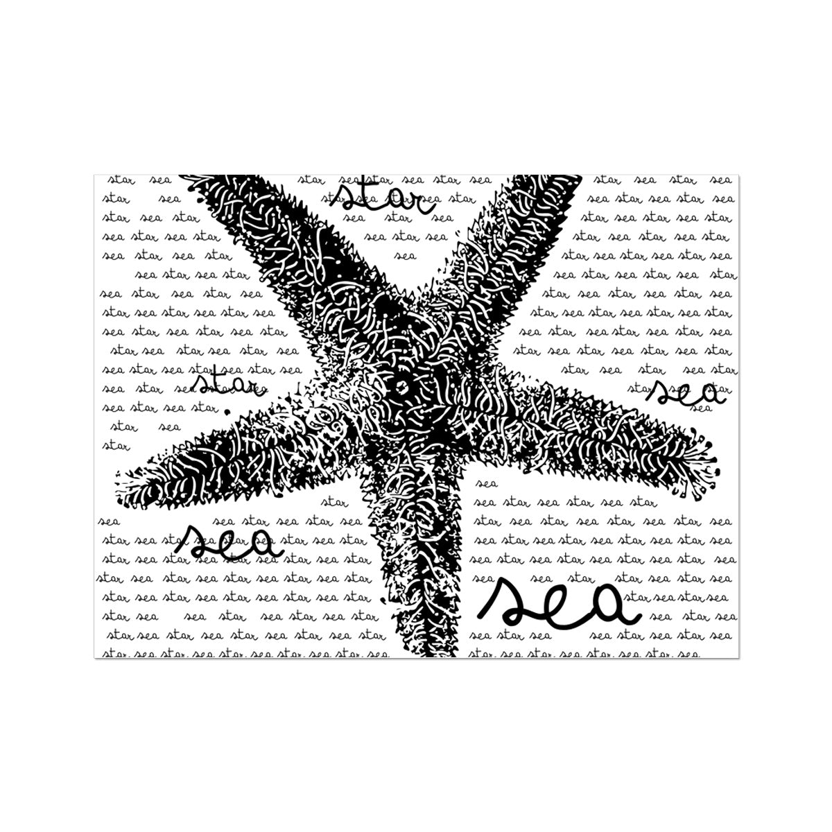 Pôster AQUA B&W - 08 - Estrela do Mar - Arte de Parede