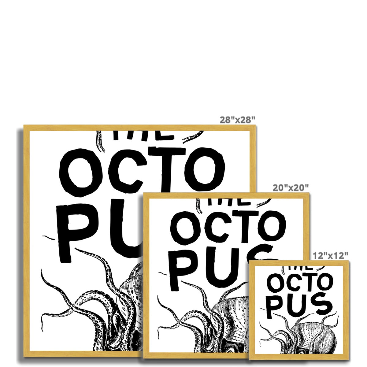 AQUA P&B - 03 - Polvo - Impressão emoldurada antiga
