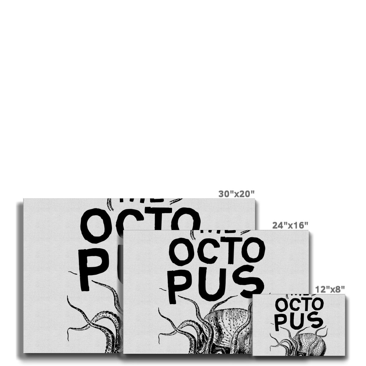 AQUA P&B - 03 - Polvo - Eco Canvas