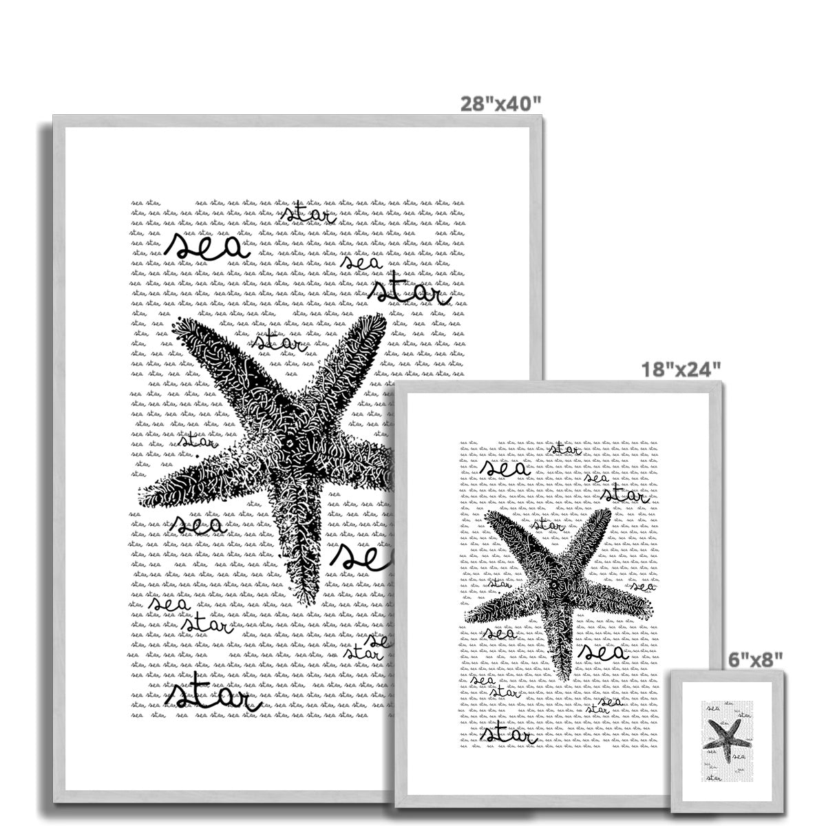AQUA B&W - 08 - Estrela do mar - Impressão antiga emoldurada e montada