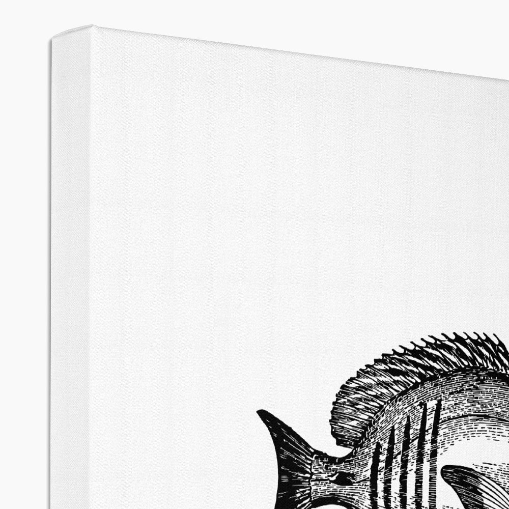 AQUA B&W - 01 -Big Fish - Eco Canvas