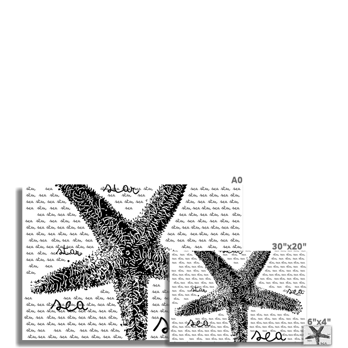 AQUA B&W - 08 - Sea Star - Rolled Eco Canvas