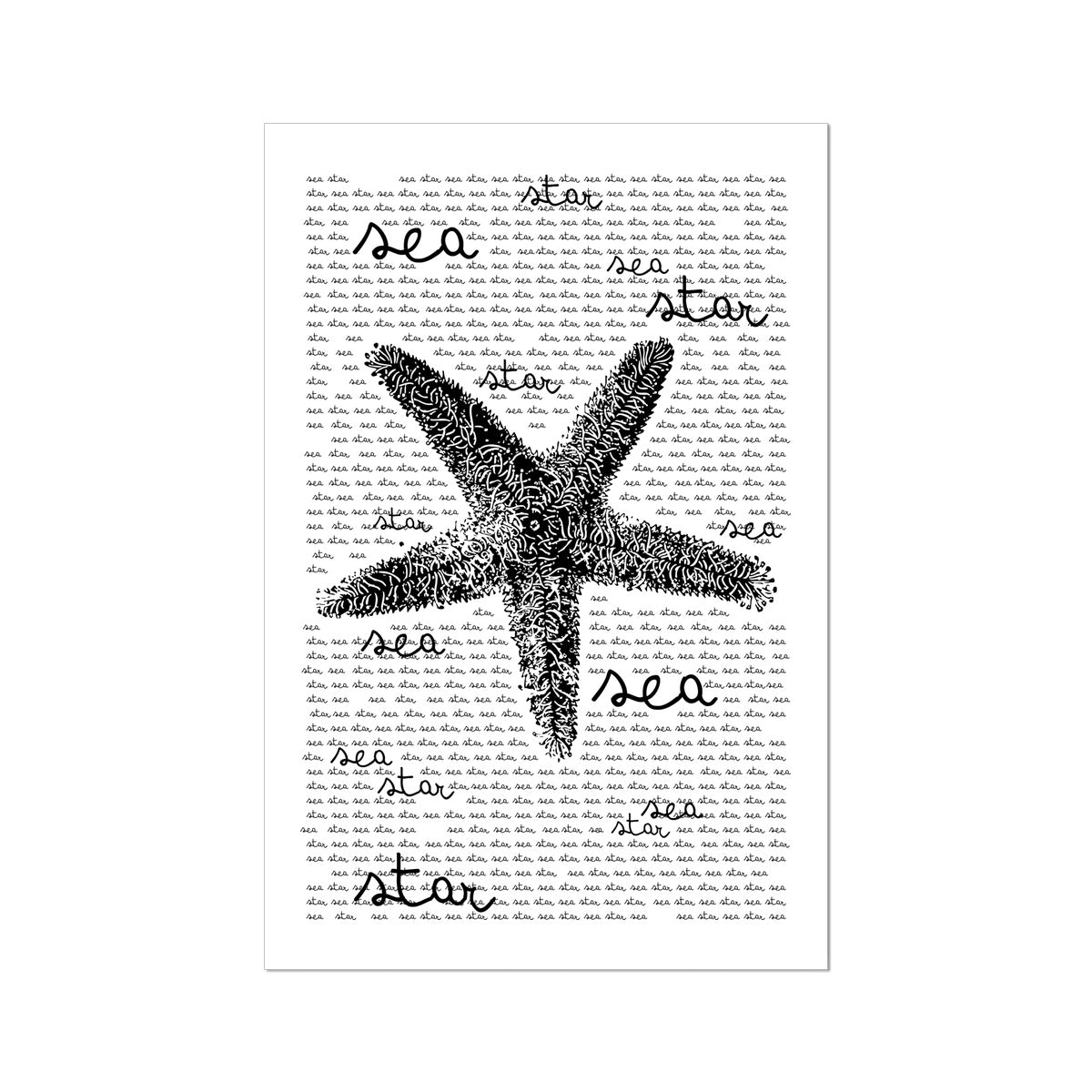 AQUA B&W - 08 - Estrela do Mar - Lona Enrolada