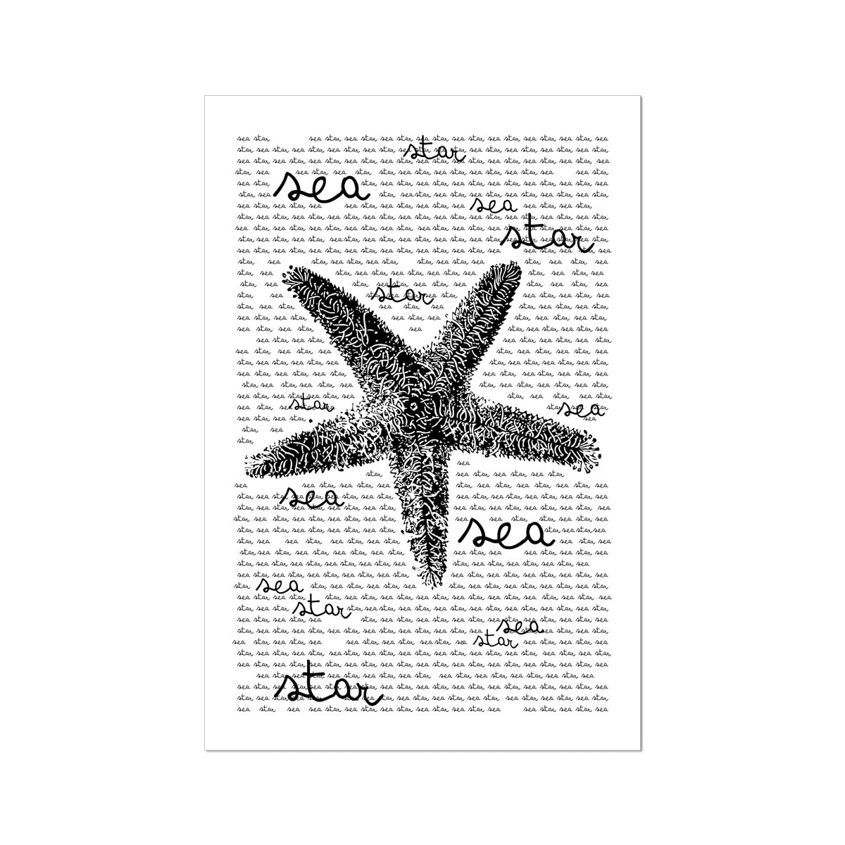 AQUA B&W - 08 - Sea Star - Rolled Canvas