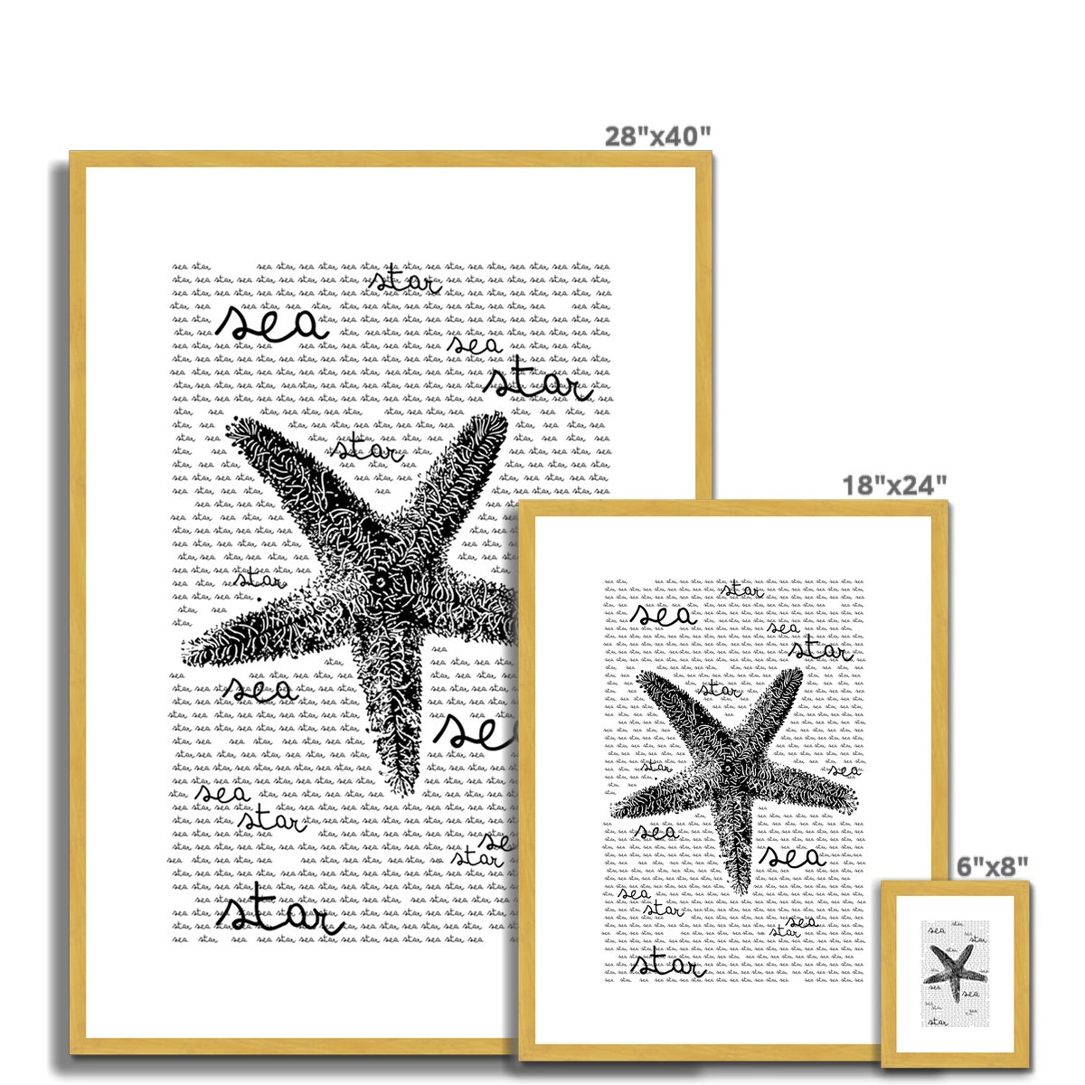 AQUA B&W - 08 - Estrela do mar - Impressão antiga emoldurada e montada
