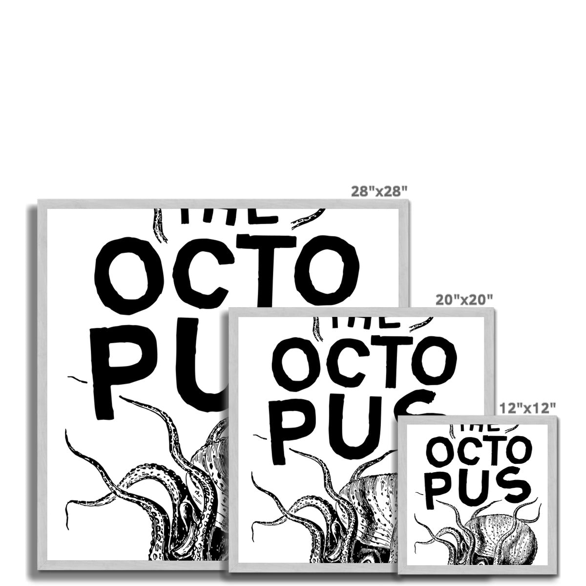 AQUA P&B - 03 - Polvo - Impressão emoldurada antiga