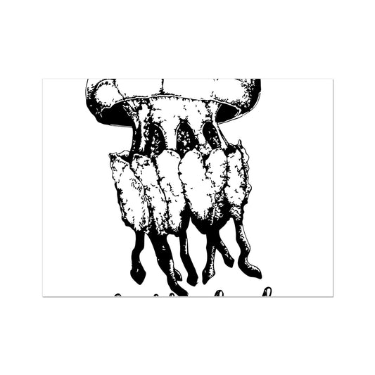 Pôster AQUA B&W - 02 - Medusa - Arte de Parede