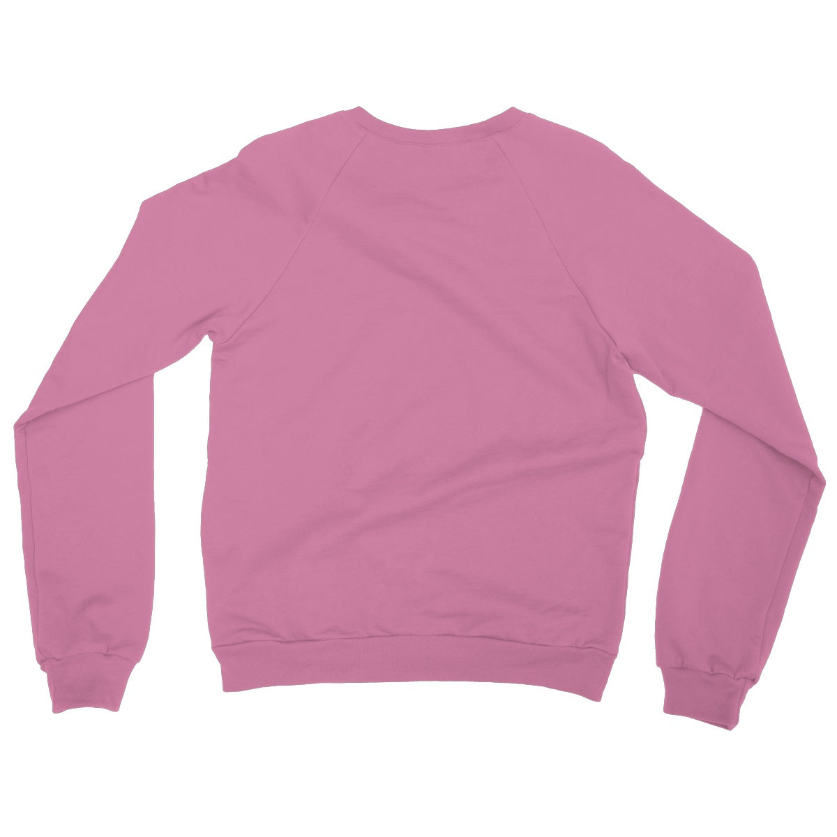 AQUA HMP2 - 09 - Toucan - Heavy Blend Crew Neck Sweatshirt