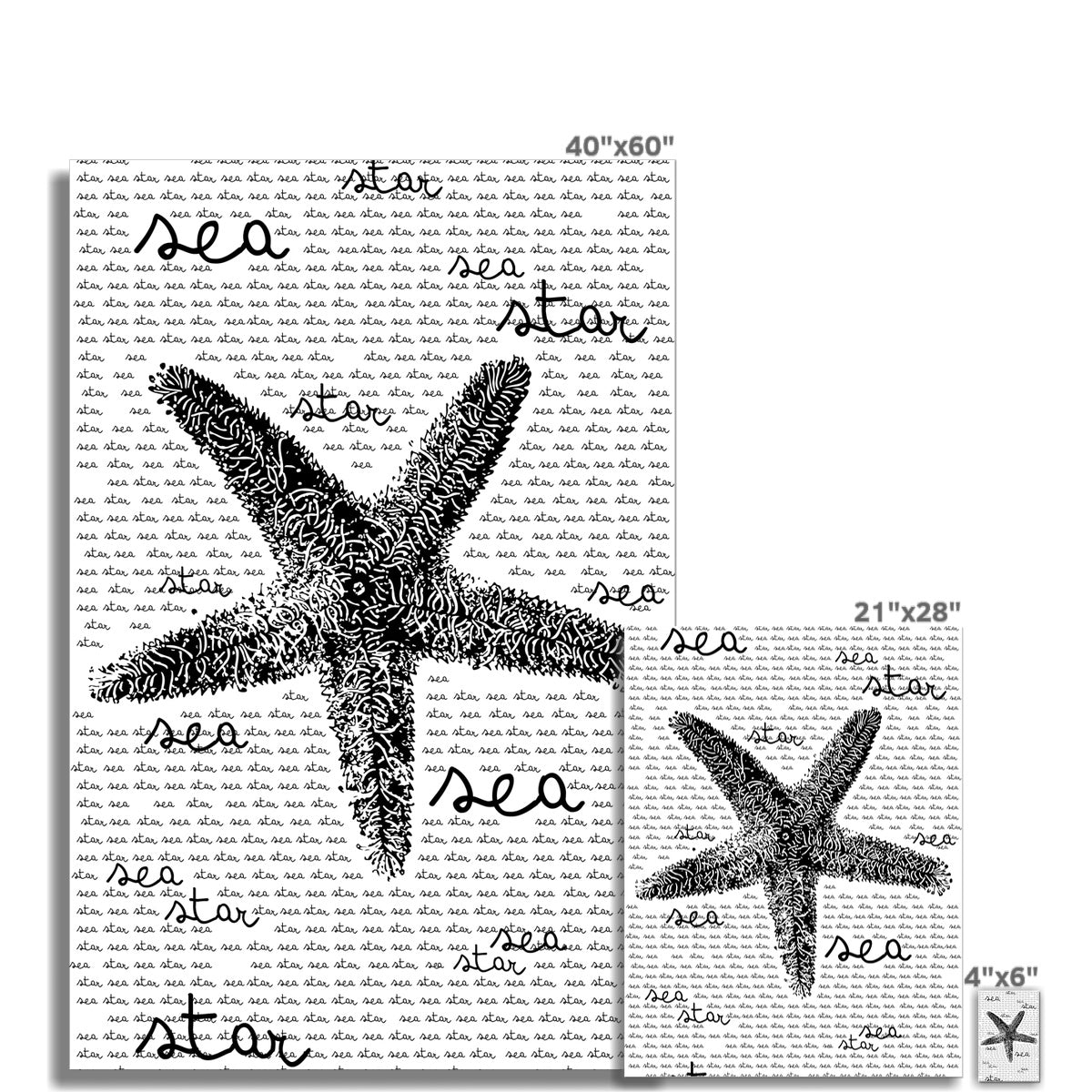 Pôster AQUA B&W - 08 - Estrela do Mar - Arte de Parede