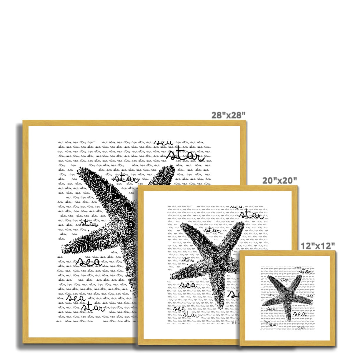 AQUA B&W - 08 - Estrela do mar - Impressão antiga emoldurada e montada