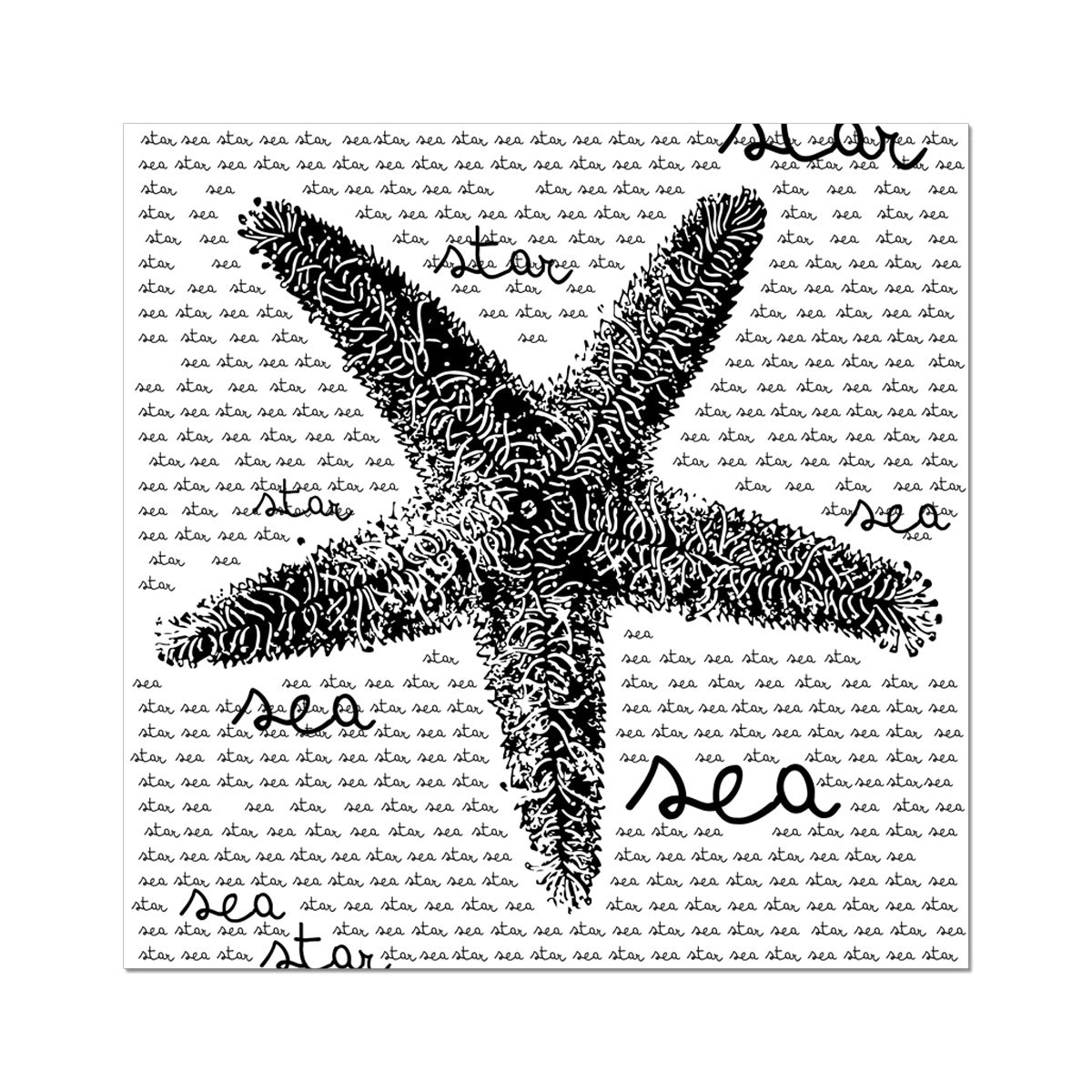 AQUA B&W - 08 - Sea Star - Rolled Eco Canvas