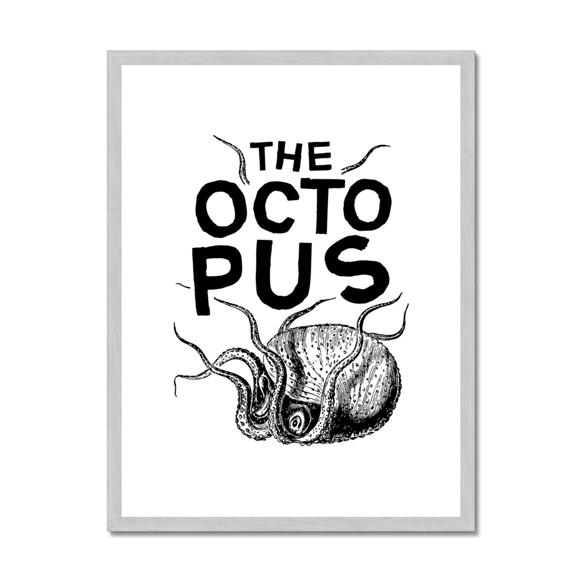 AQUA B&W - 03 - Polvo - Impressão antiga emoldurada e montada