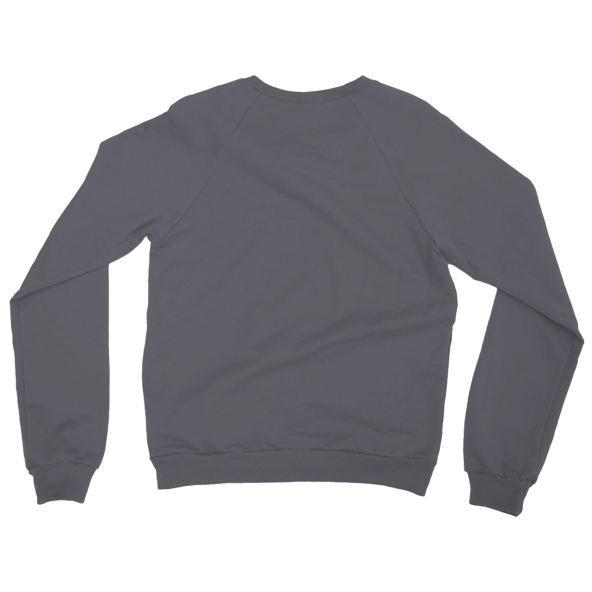 AQUA HMP2 - 09 - Toucan - Heavy Blend Crew Neck Sweatshirt