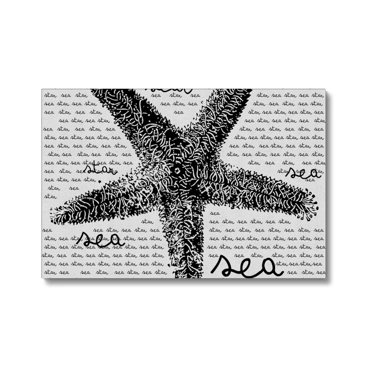 AQUA B&W - 08 - Seestern - Öko-Leinwand
