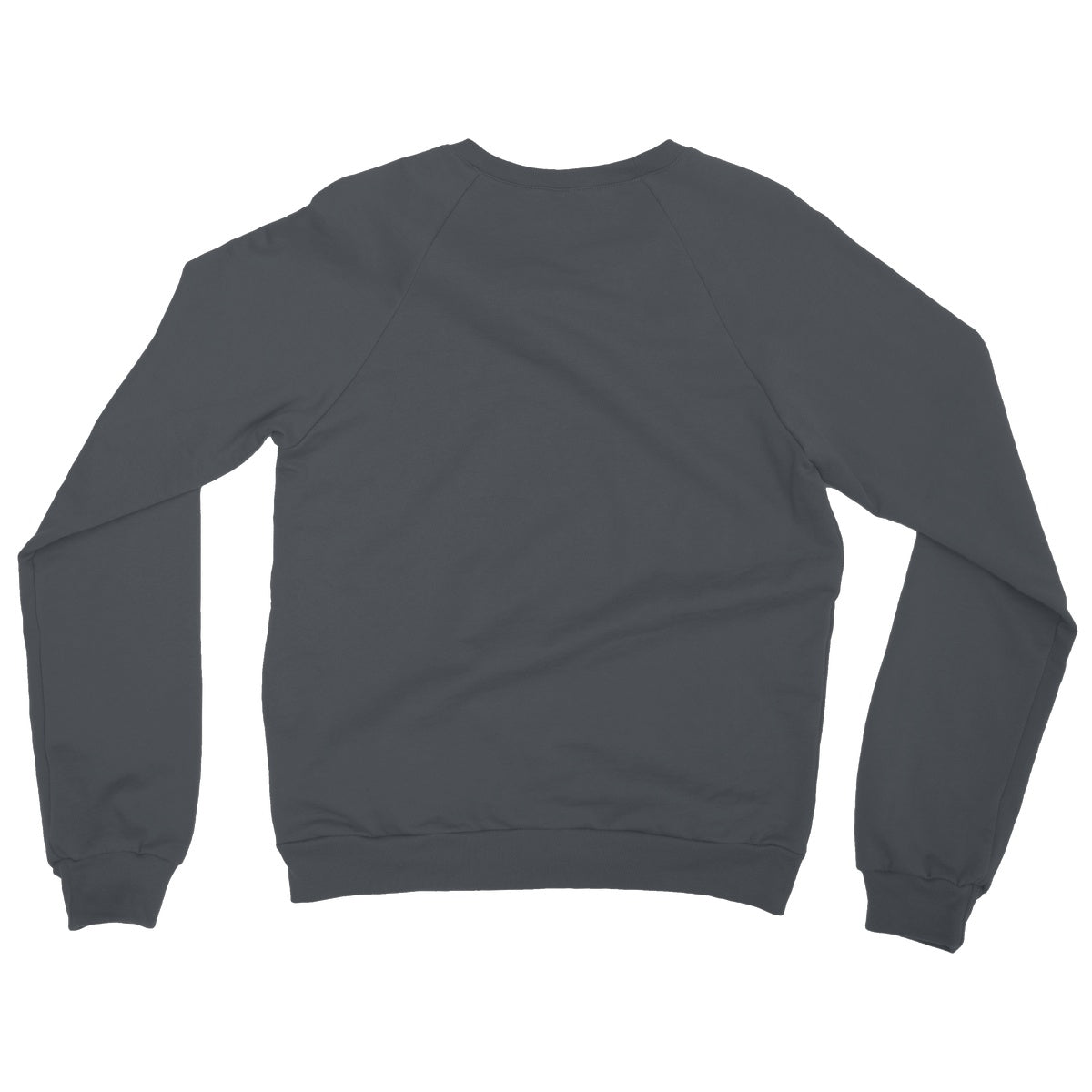 AQUA HMP2 - 09 - Toucan - Heavy Blend Crew Neck Sweatshirt