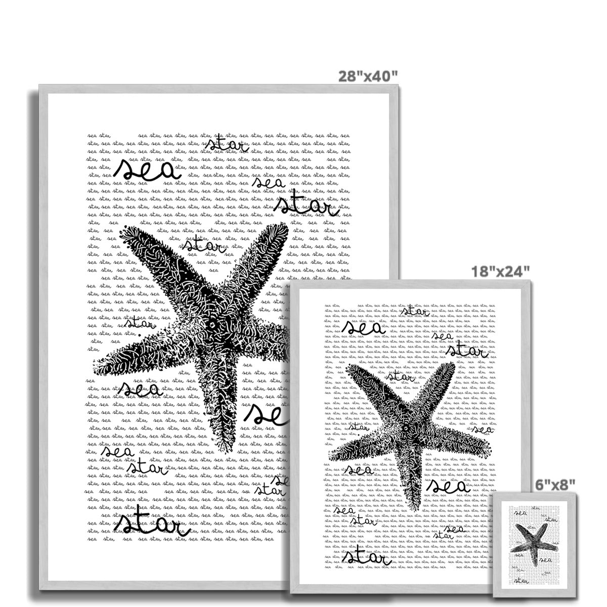 AQUA B&W - 08 - Sea Star - Antique Framed Print