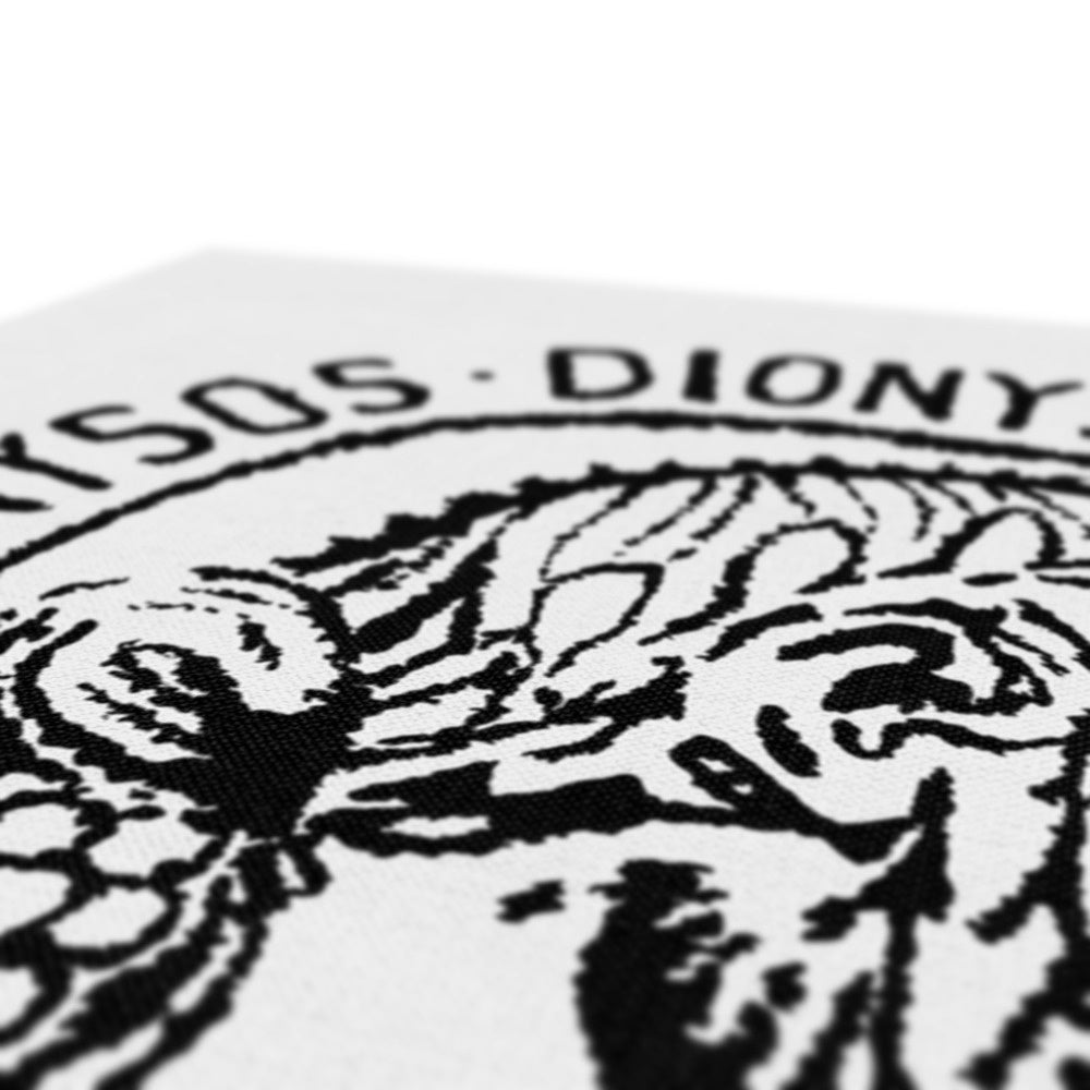 AQUA HMP2 - 02 - Dionysos - Eco Canvas