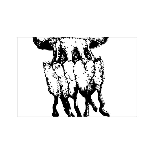 AQUA B&W - 02 - Medusa - Lona Enrolada