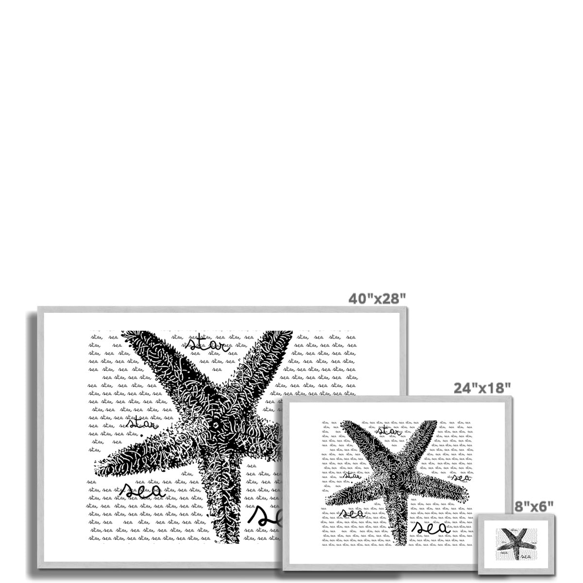 AQUA B&W - 08 - Estrela do mar - Impressão antiga emoldurada e montada