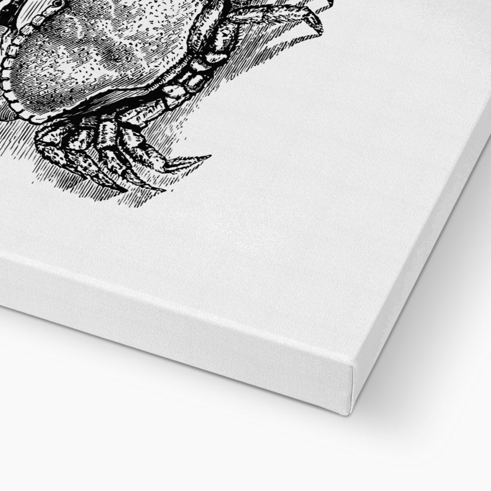 AQUA B&W - 07 - Catch the crab - Eco Canvas
