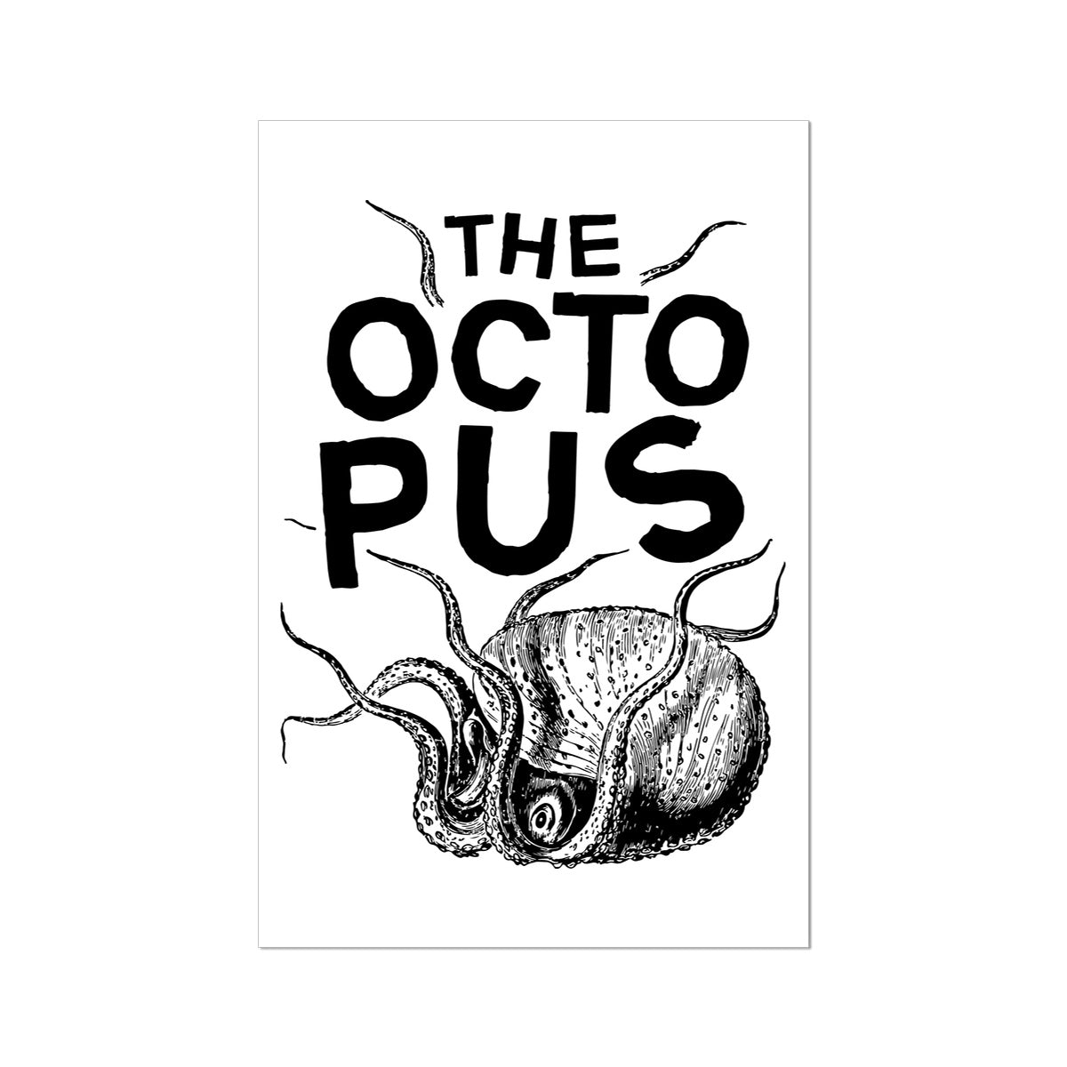 AQUA B&W - 03 - Oktopus - Gerollte Leinwand