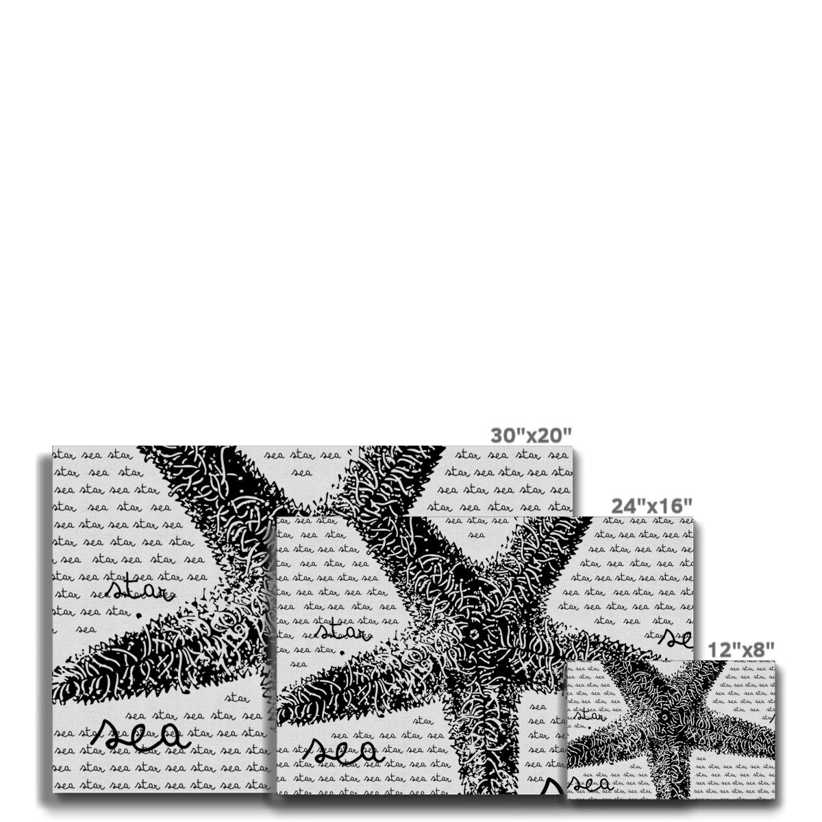 AQUA B&W - 08 - Seestern - Öko-Leinwand