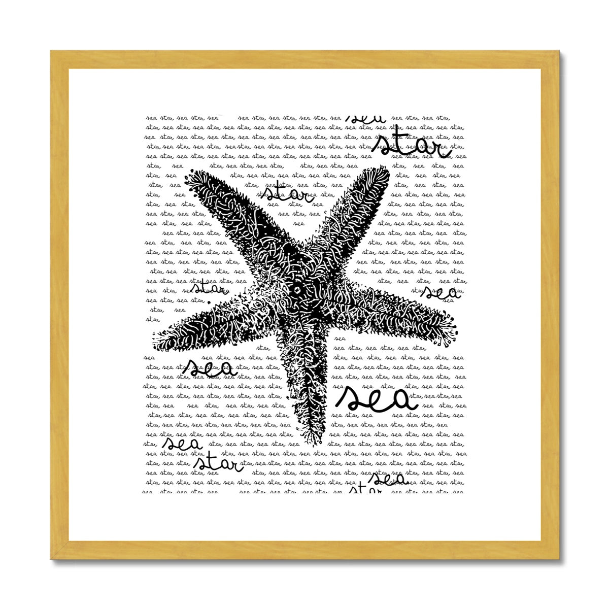 AQUA B&W - 08 - Estrela do mar - Impressão antiga emoldurada e montada