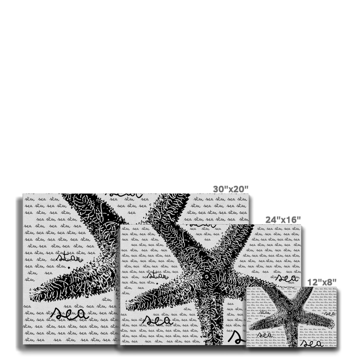 AQUA B&W - 08 - Seestern - Öko-Leinwand