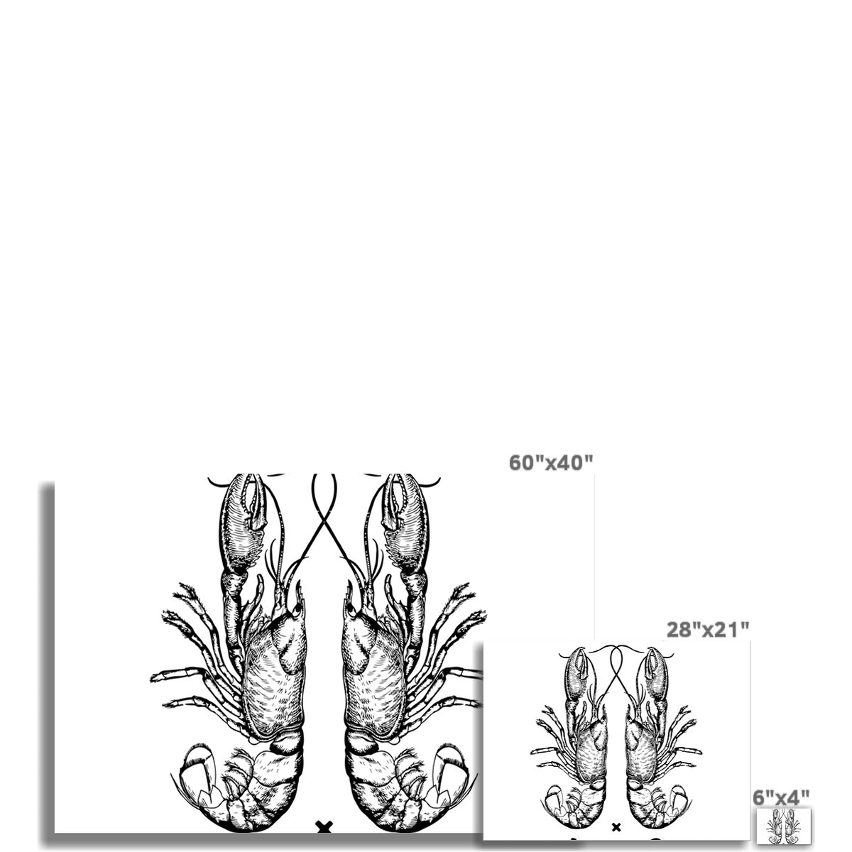 AQUA B&W - 06 - Sailing Lungs - Wall Art Poster