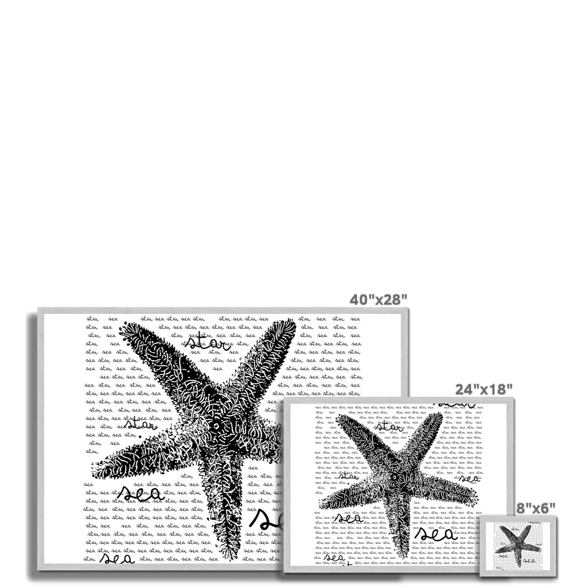 AQUA B&W - 08 - Sea Star - Antique Framed Print