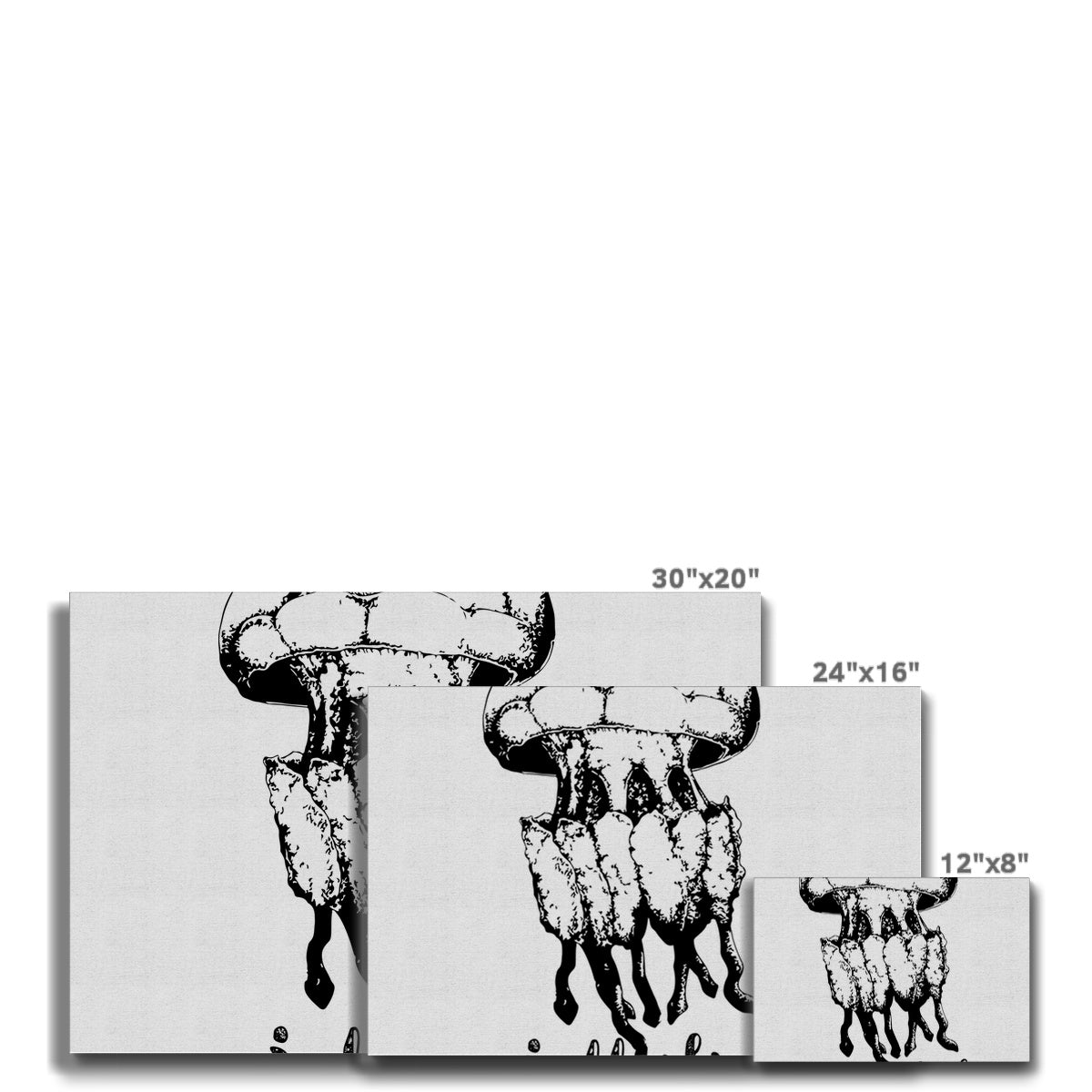 AQUA B&W - 02 - Água-viva - Eco Canvas