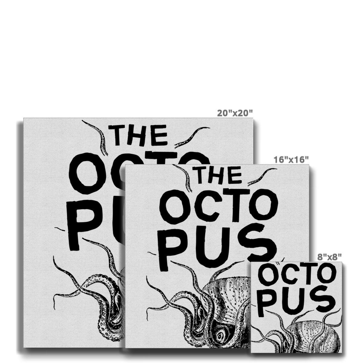 AQUA P&B - 03 - Polvo - Eco Canvas