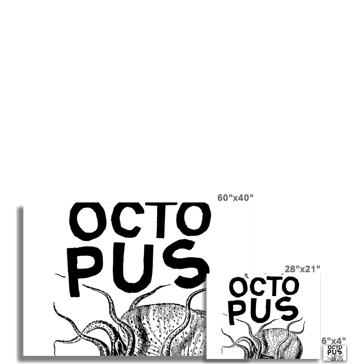 Pôster AQUA B&W - 03 - Polvo - Arte de Parede