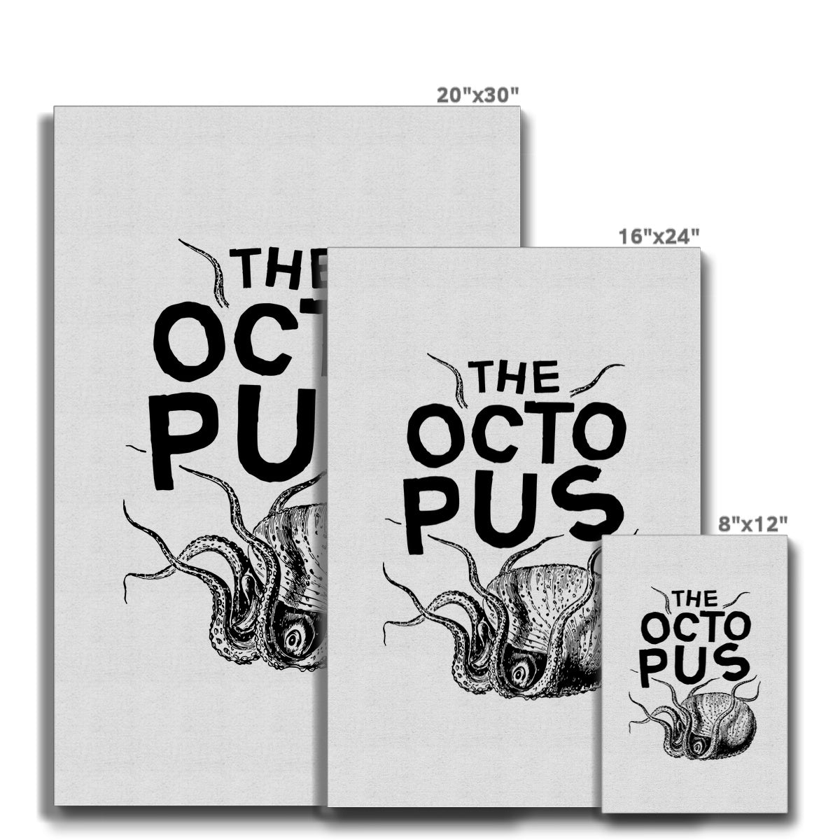 AQUA P&B - 03 - Polvo - Eco Canvas