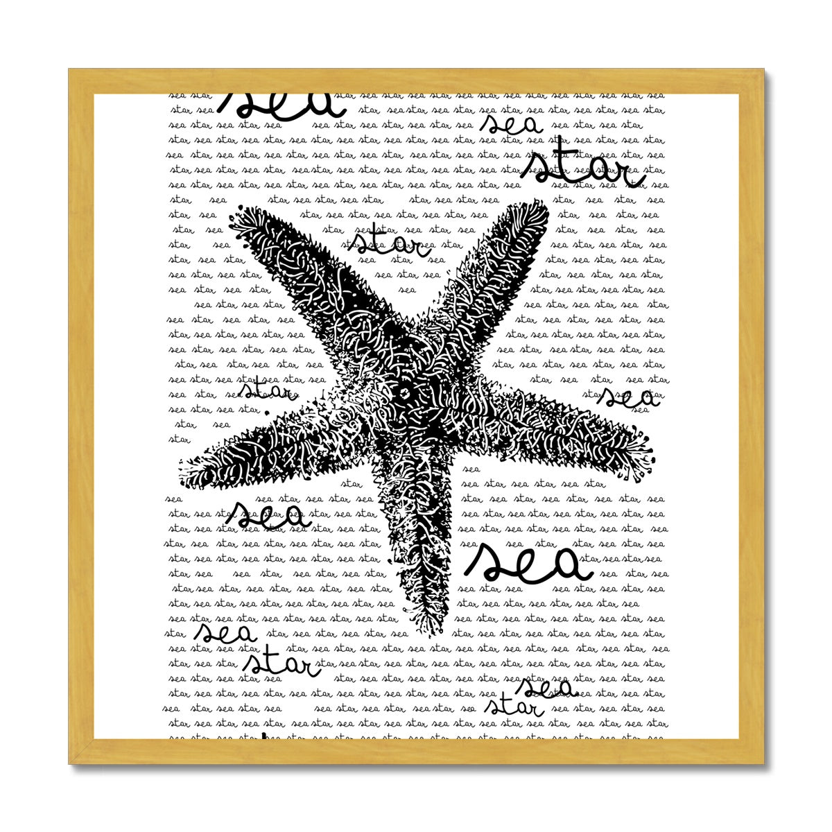 AQUA B&W - 08 - Sea Star - Antique Framed Print