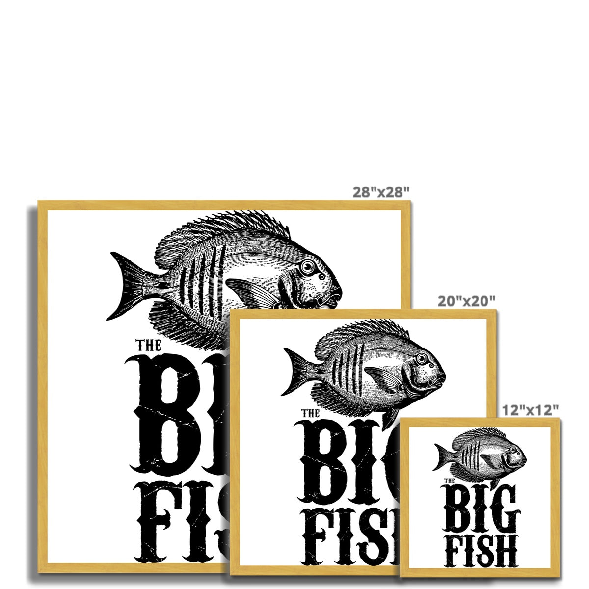AQUA P&B - 01 -Peixe Grande - Impressão emoldurada antiga