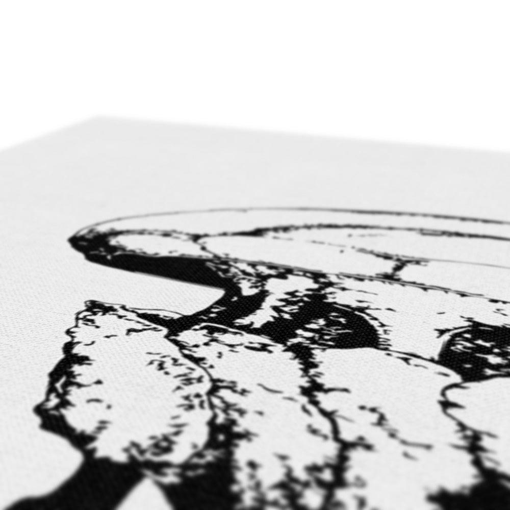 AQUA B&W - 02 - Água-viva - Eco Canvas