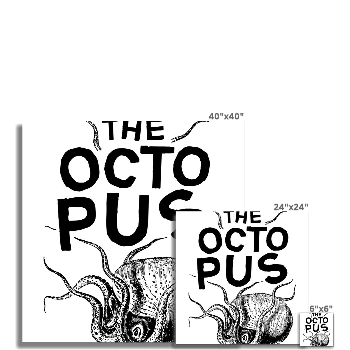 AQUA B&W - 03 - Oktopus - Gerollte Leinwand