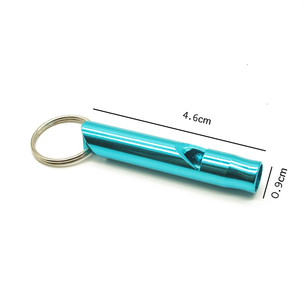 Outdoor Metal Multifunction Whistle Pendant With Keychain Keyring For Outdoor Survival Emergency Mini Size whistles Team Gift