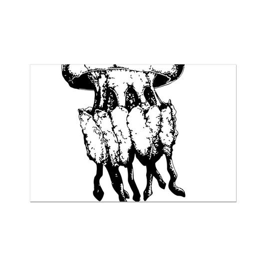 AQUA B&W - 02 - Medusa - Lona Eco Rolada