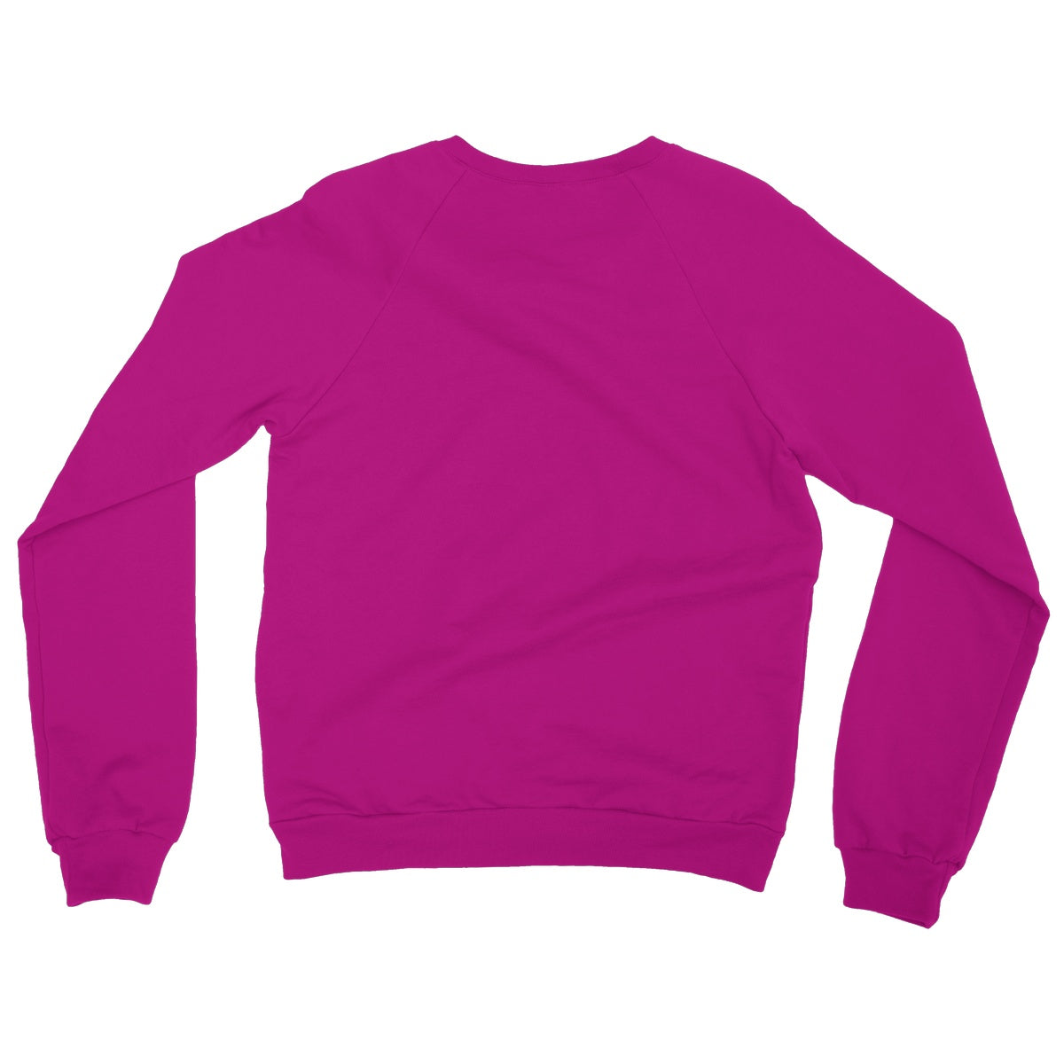 AQUA HMP2 - 09 - Toucan - Heavy Blend Crew Neck Sweatshirt