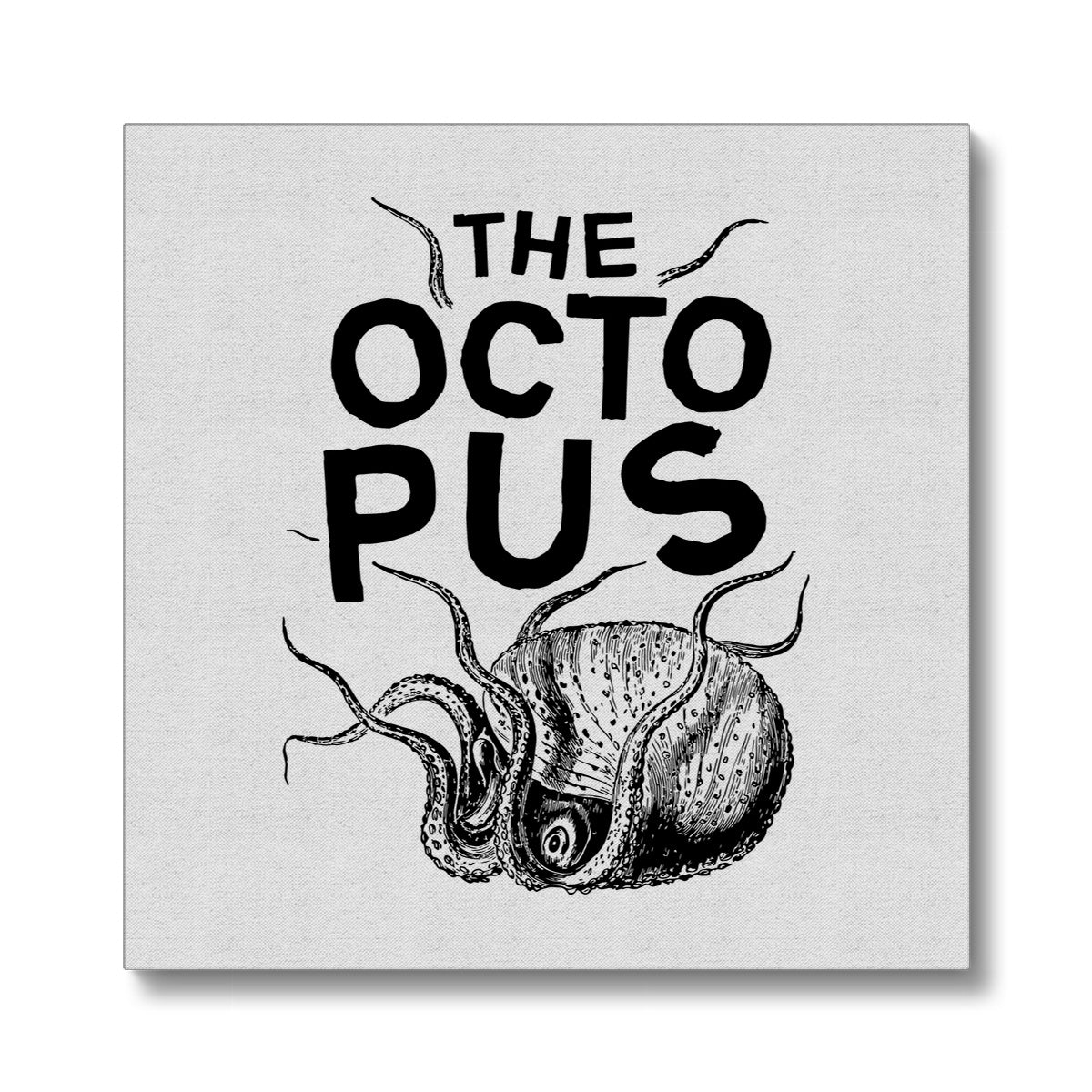 AQUA P&B - 03 - Polvo - Eco Canvas