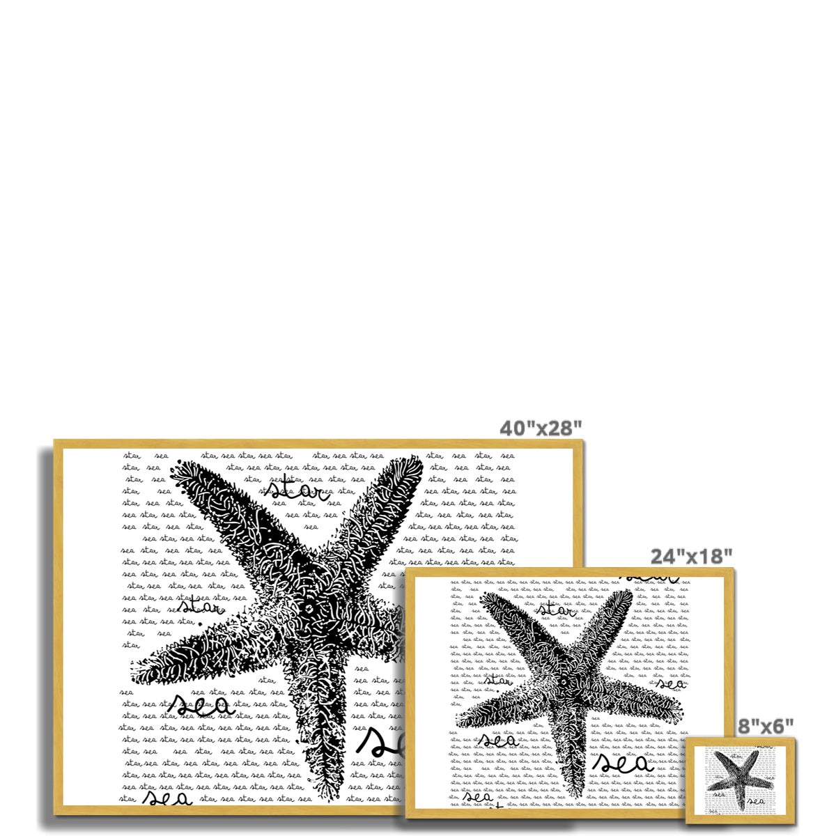 AQUA B&W - 08 - Sea Star - Antique Framed Print