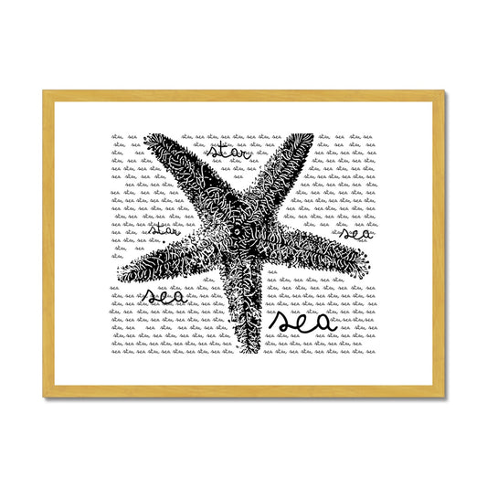AQUA B&W - 08 - Estrela do mar - Impressão antiga emoldurada e montada