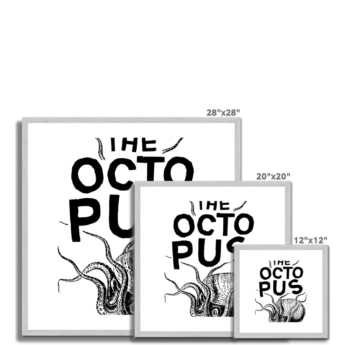 AQUA B&W - 03 - Polvo - Impressão antiga emoldurada e montada