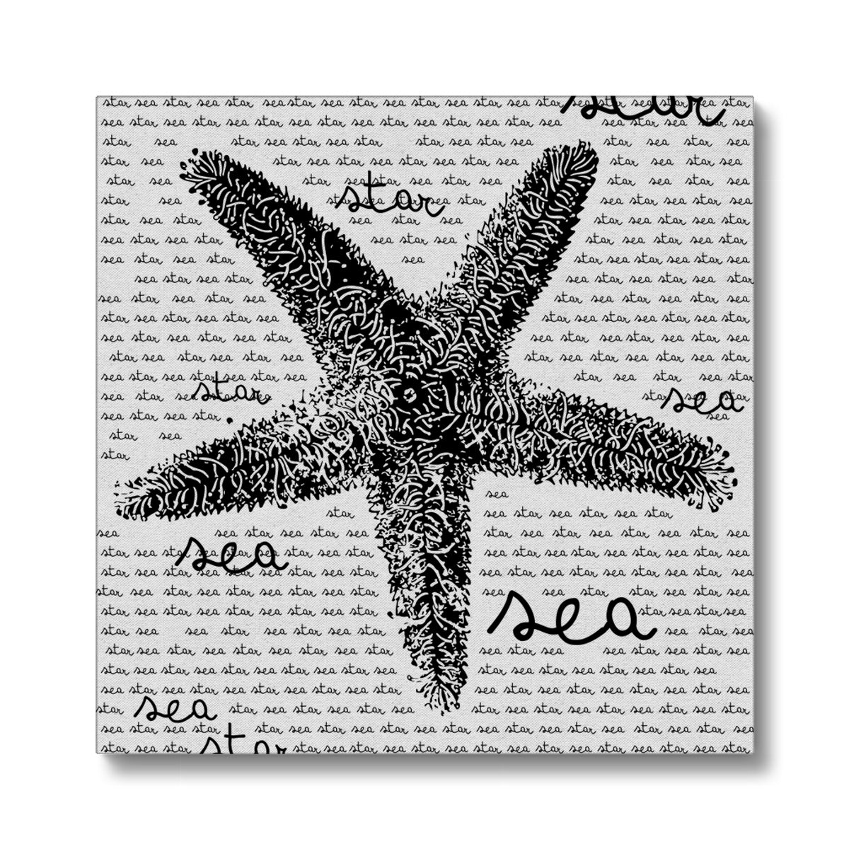 AQUA B&W - 08 - Seestern - Öko-Leinwand