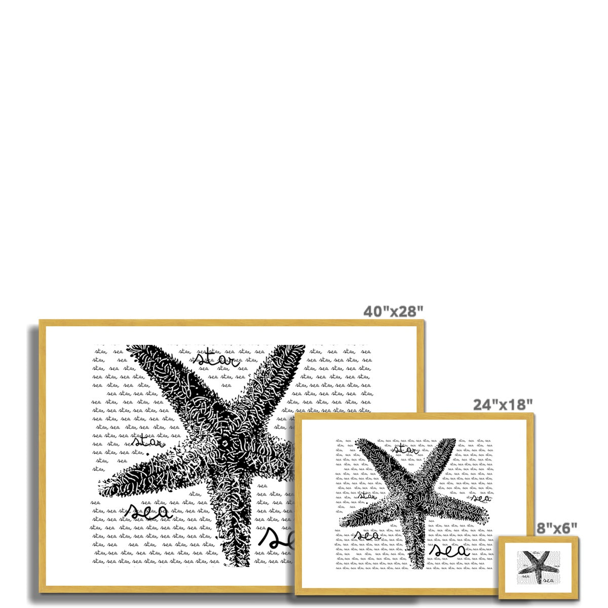 AQUA B&W - 08 - Estrela do mar - Impressão antiga emoldurada e montada
